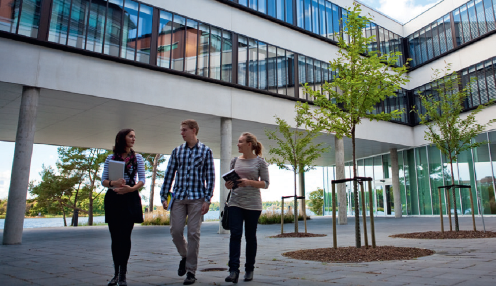 Autenticando Diplomas: Passo a Passo para Segurança e Confiança